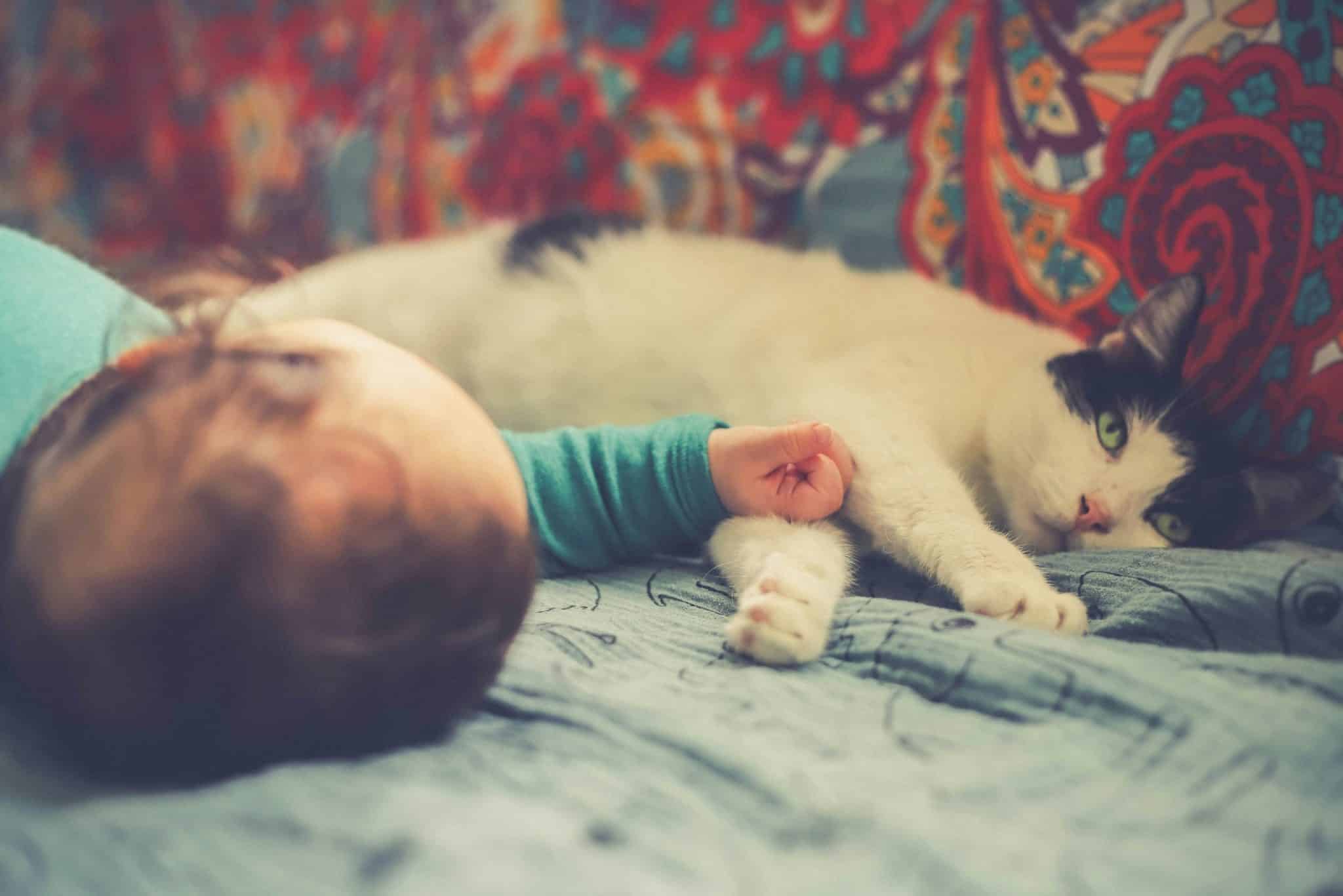 un bébé et un chat