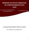 Couverture du mémoire de Julien