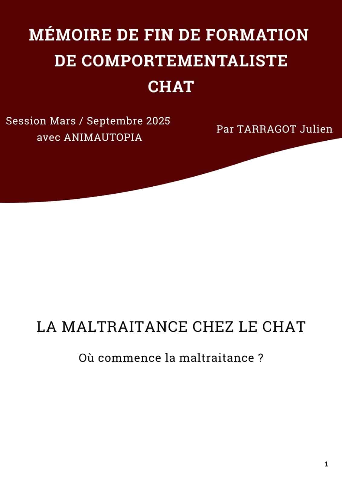 Couverture du mémoire de Julien